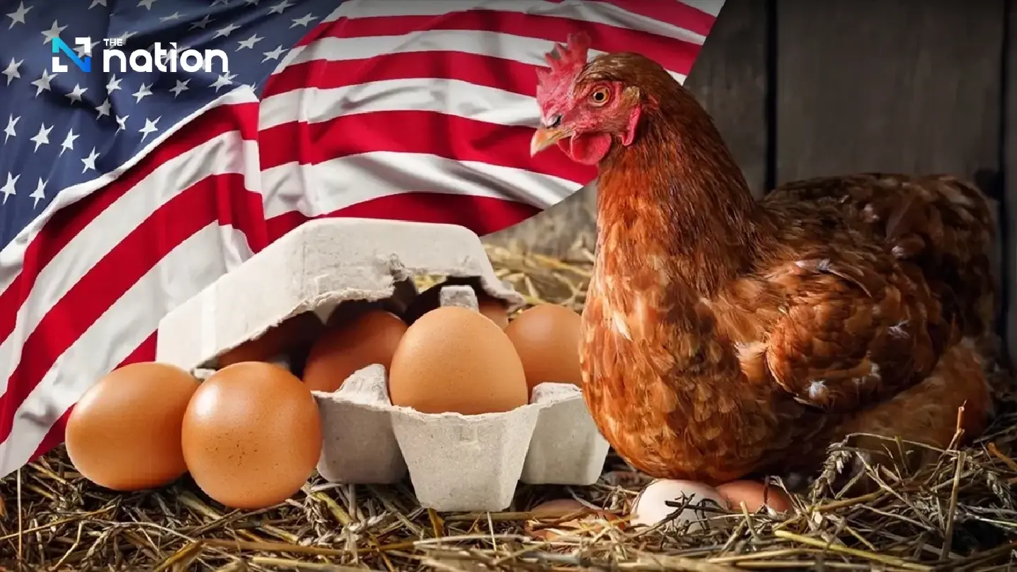 Bird flu crisis in US spurs Interest in Chicken Rentals Bird flu crisis in US spurs Interest in Chicken Rentals