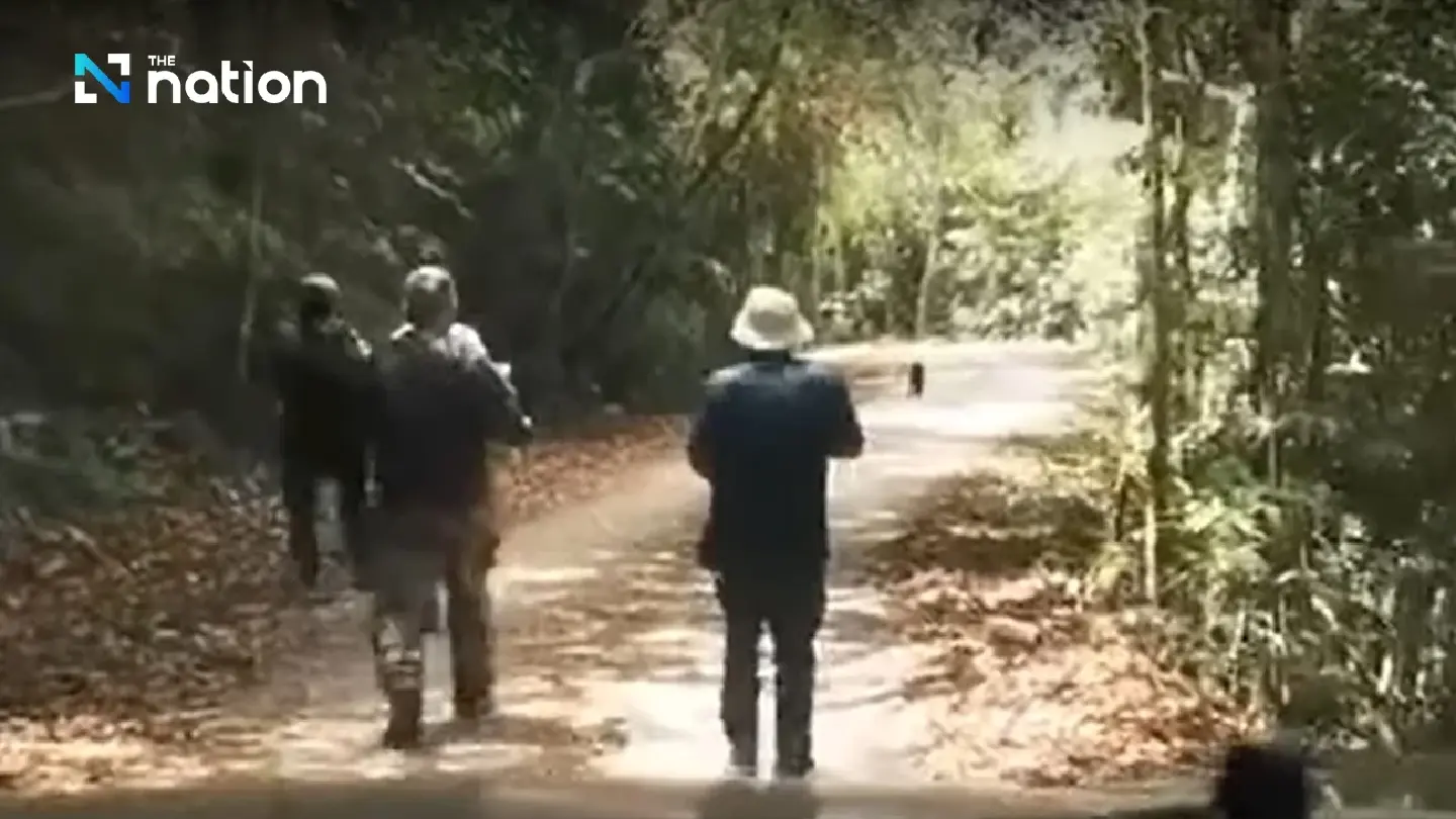 Tour guide fined for alleged violation of safety regulations