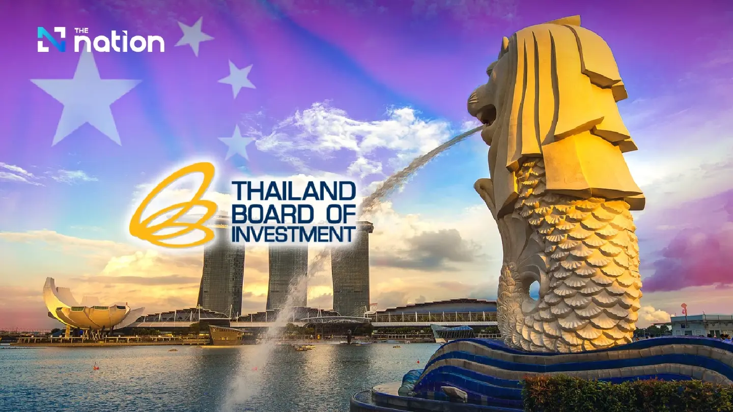 Concern that increasing investment from Singapore might be from China Concern that increasing investment from Singapore might be from China
