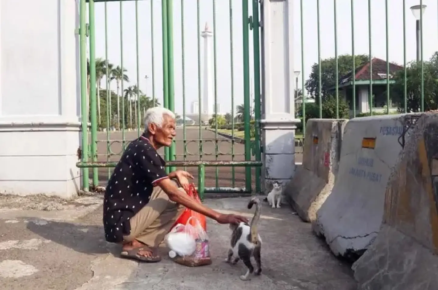 Jakarta Governor Pramono to dedicate an island for stray cats Jakarta Governor Pramono to dedicate an island for stray cats