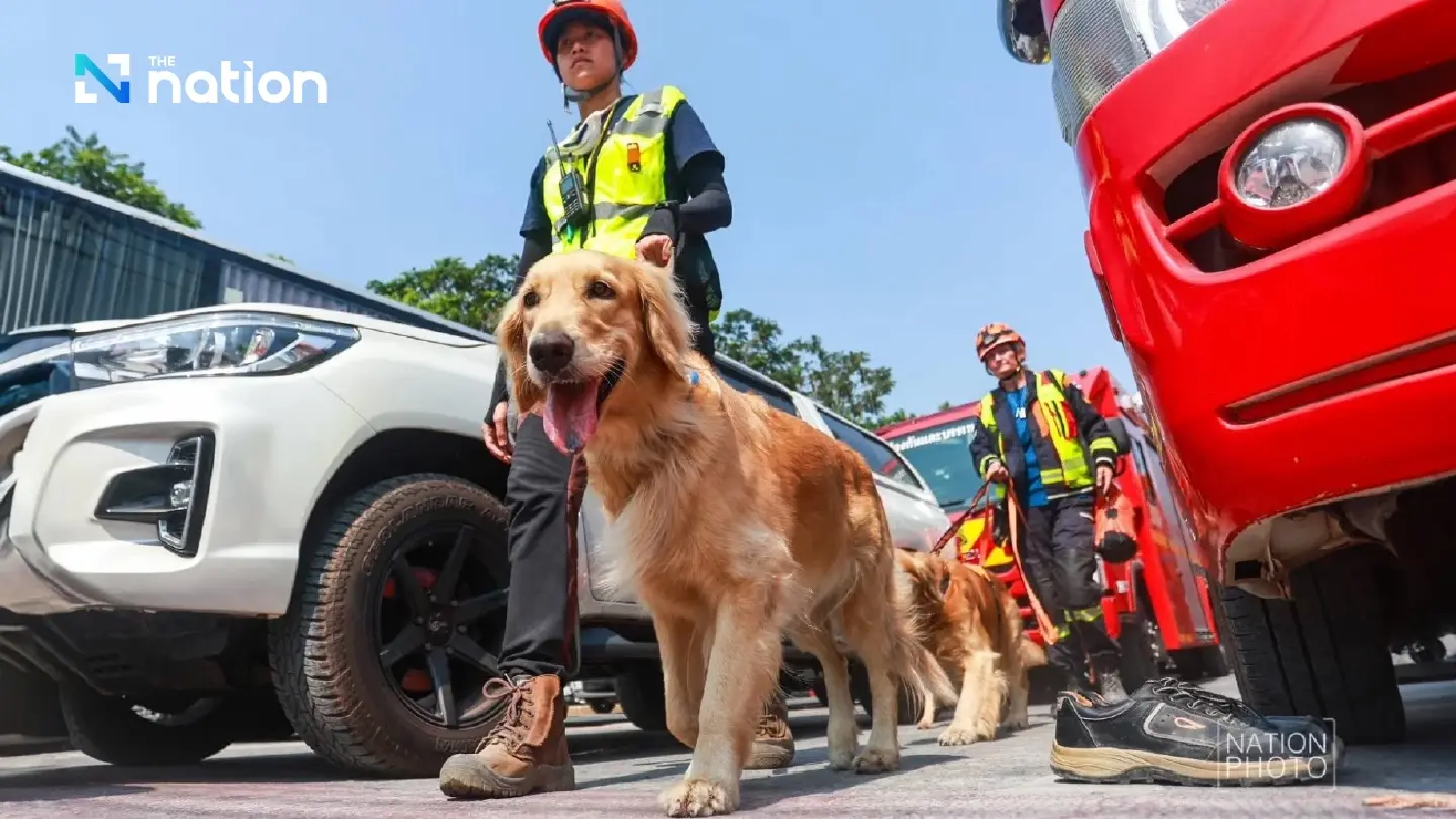 Army does not accept donations for K-9s, government clarifies Army does not accept donations for K-9s, government clarifies