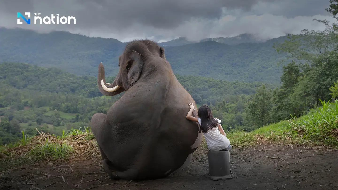 Sustainable human-elephant coexistence in the digital era