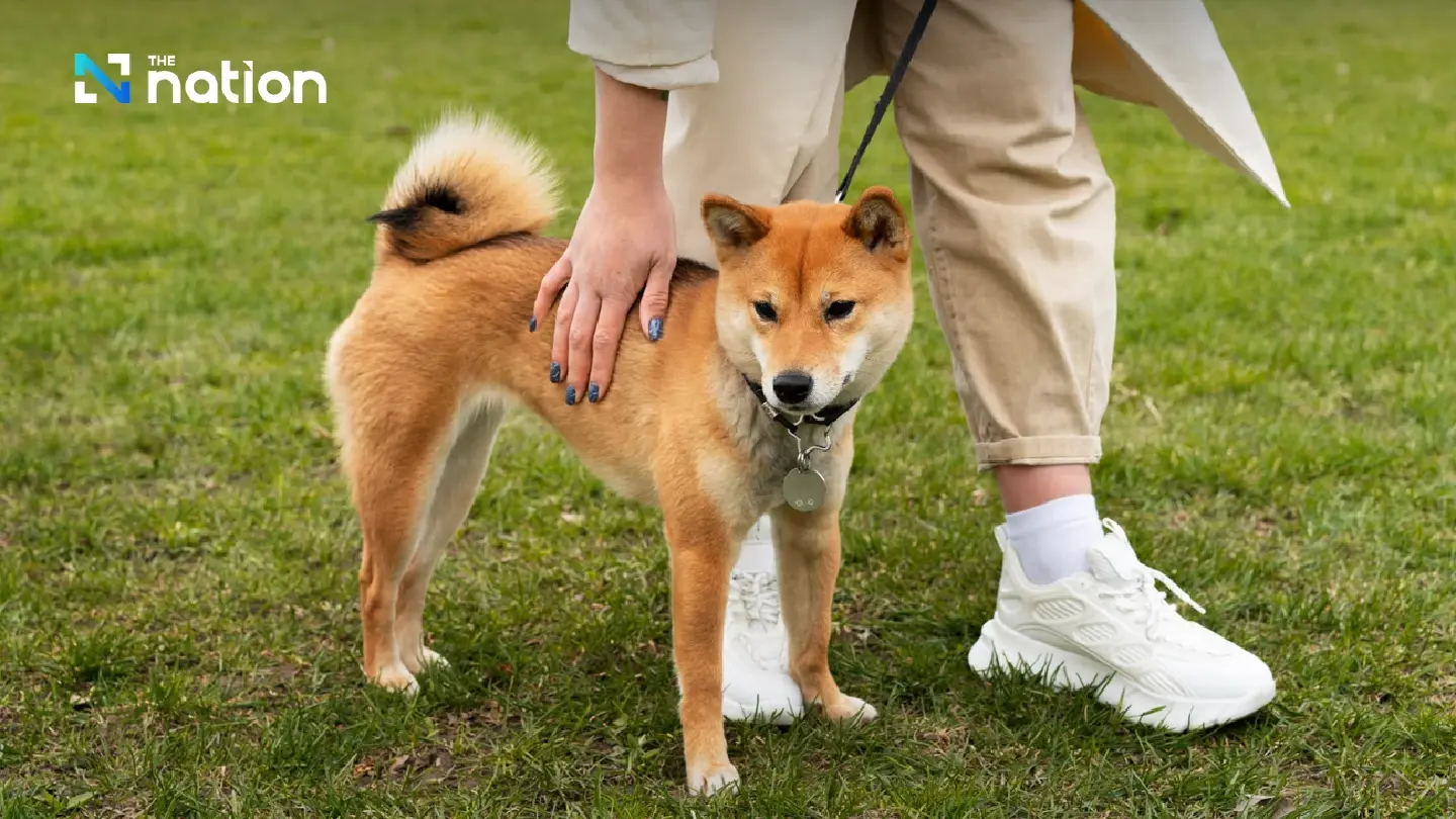 BMA to build new dog park in Lumpini Park with JCC support BMA to build new dog park in Lumpini Park with JCC support