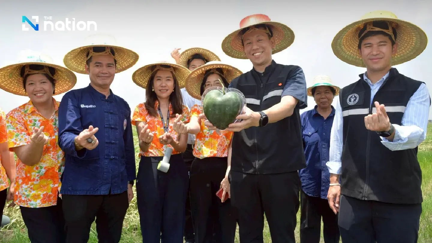 BMA promotes watermelon farm as new tourist attraction BMA promotes watermelon farm as new tourist attraction