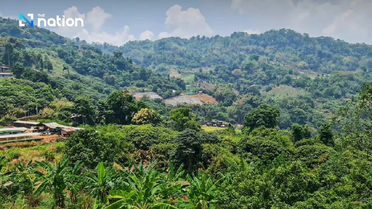 PES: Forest-saving scheme where beneficiaries pay nature back