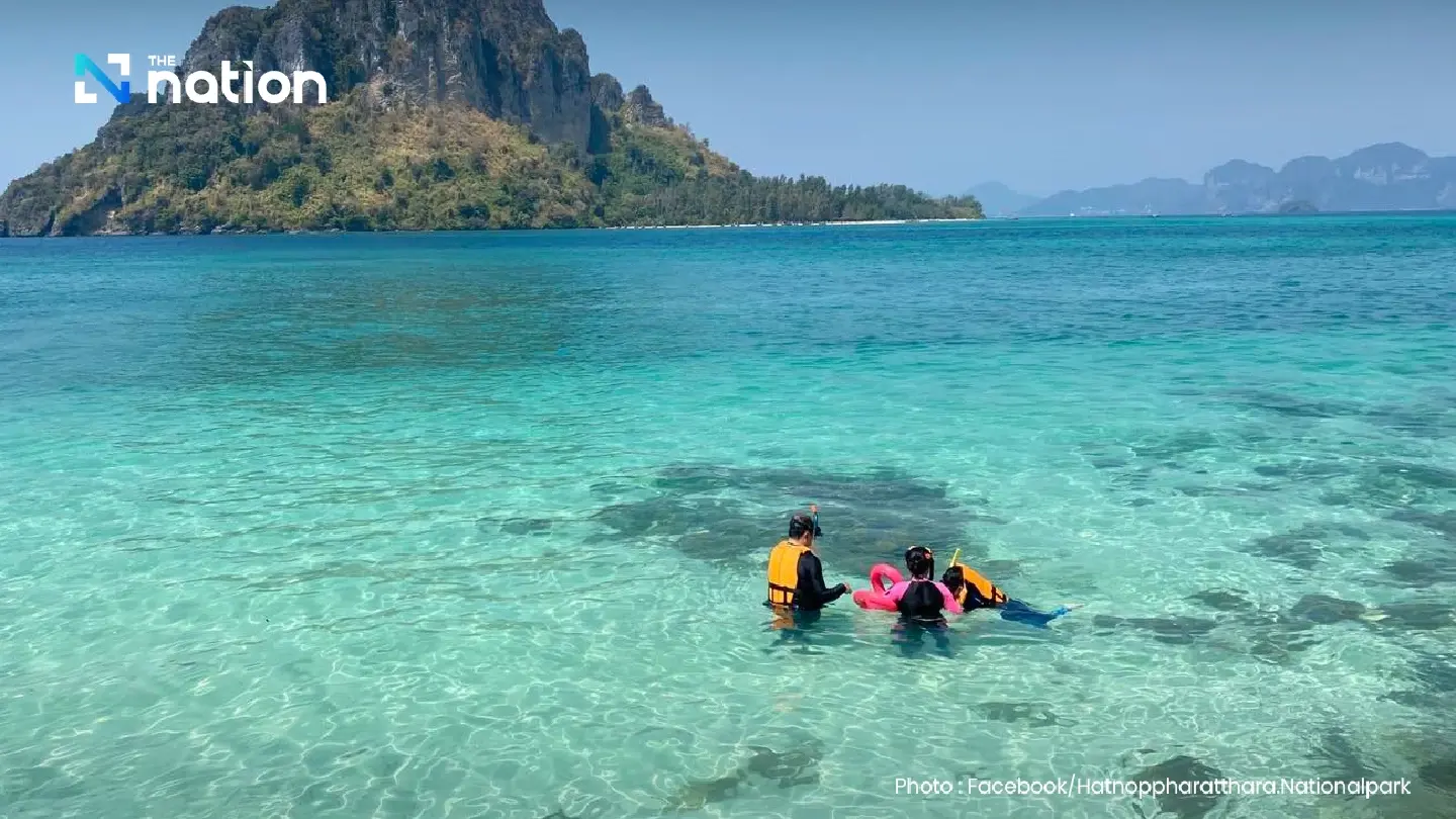 Phi Phi Islands reopen 10 dive sites after year-long closure due to coral bleaching 