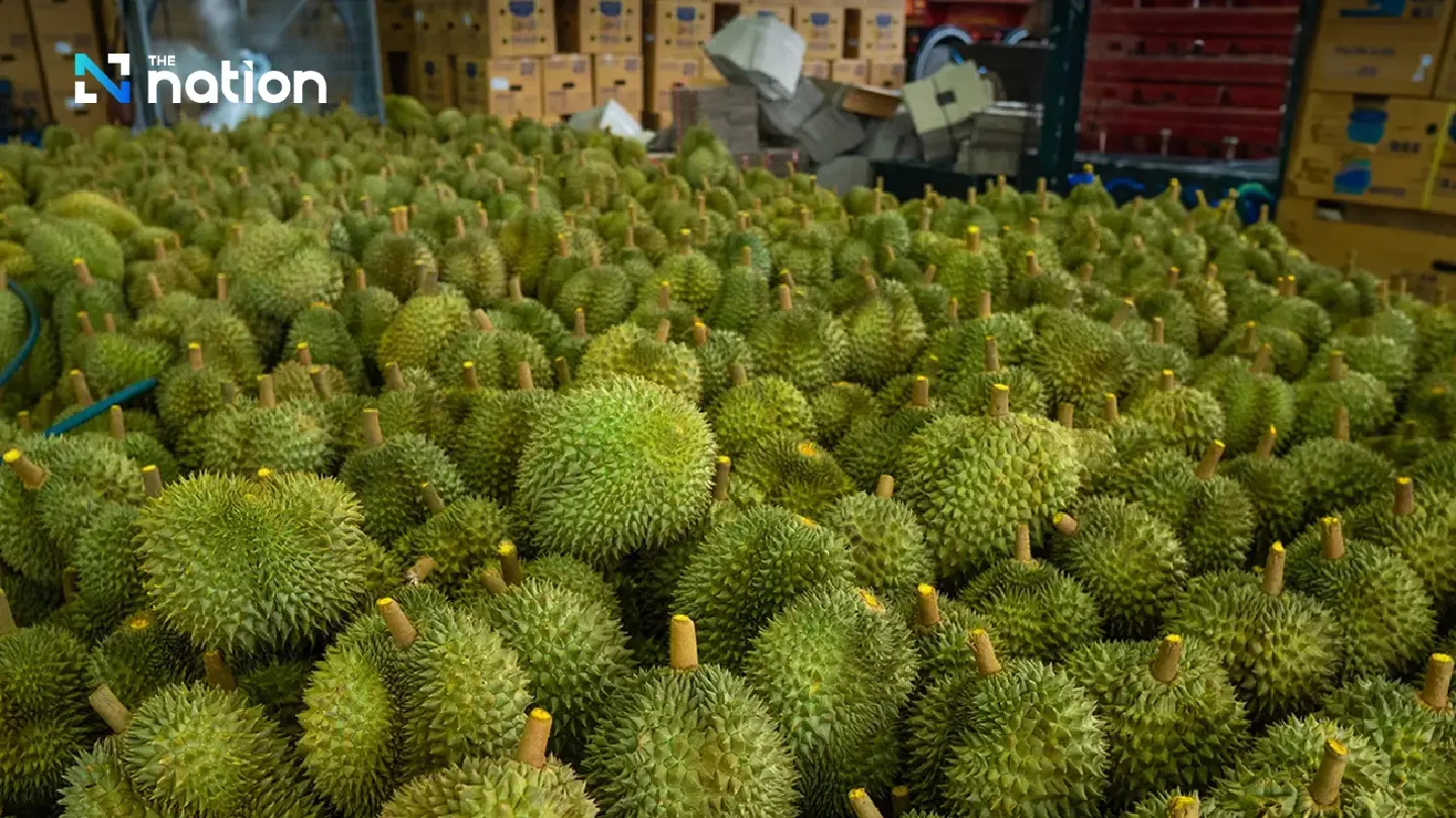 BY2 Contaminates Durian Exports, Meeting Tomorrow for Solution