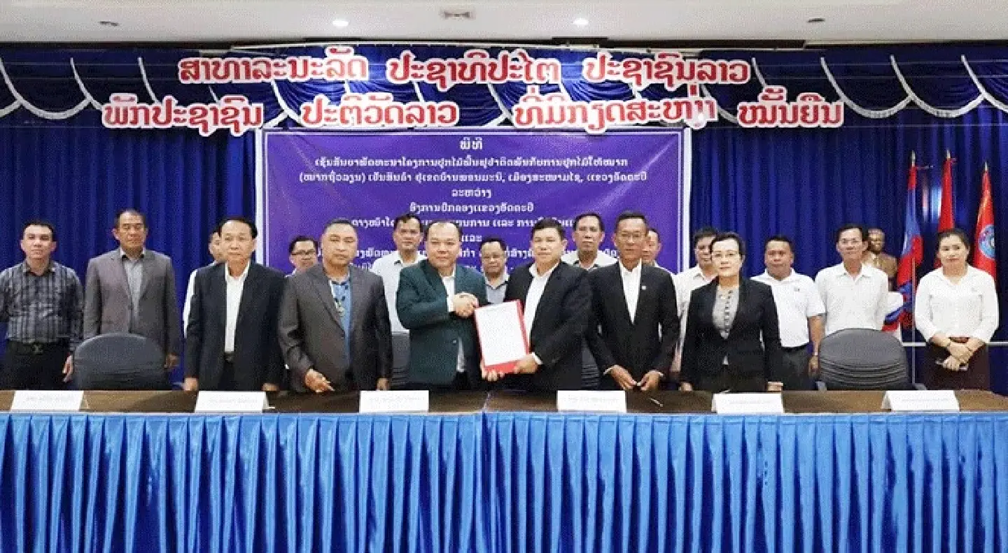 Concessions granted for large-scale durian farming in Laos