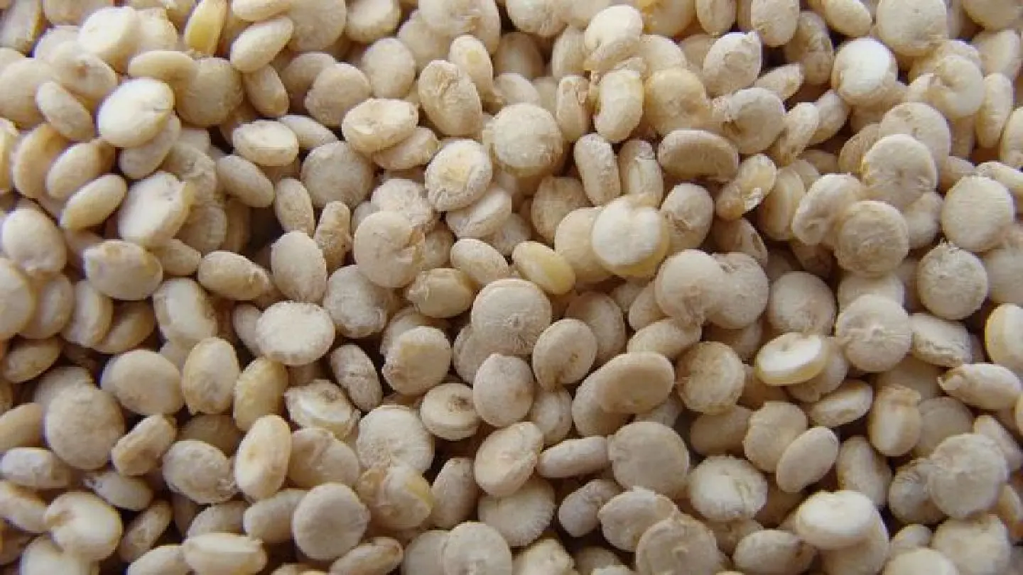 Bhutan promotes quinoa to fight noncommunicable diseases