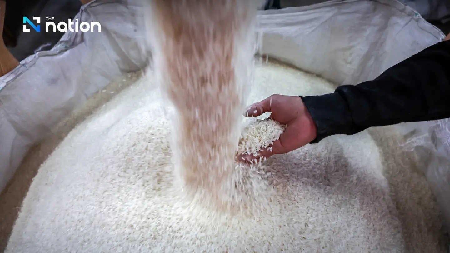 Trump tariffs threaten to pile more pain on Thailand's rice sector Trump tariffs threaten to pile more pain on Thailand's rice sector