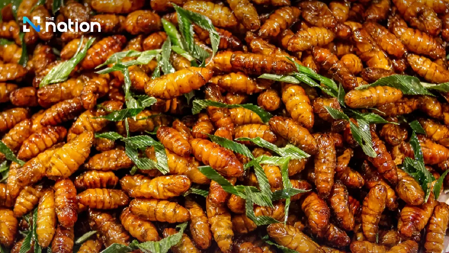 Would you dare? Exploring Thailand’s deep-fried insect delicacies