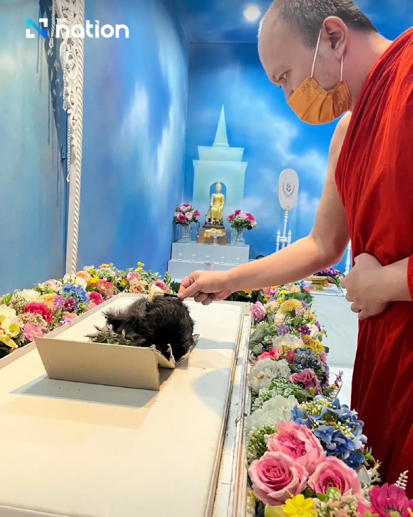 A peaceful pet farewell at Wat Khlong Toei Nai