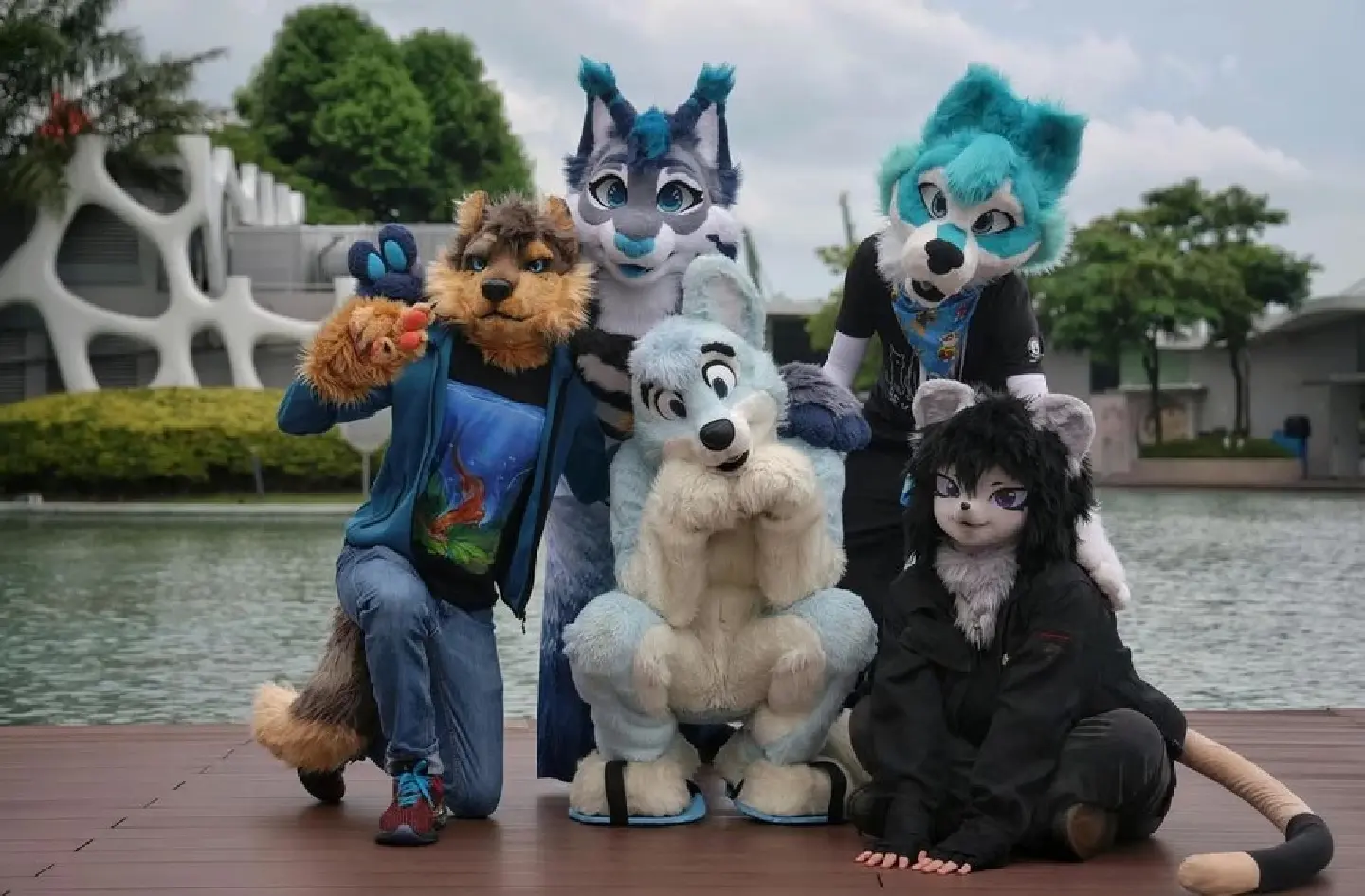 A furry cure for loneliness: ‘It’s like socialising on easy mode’