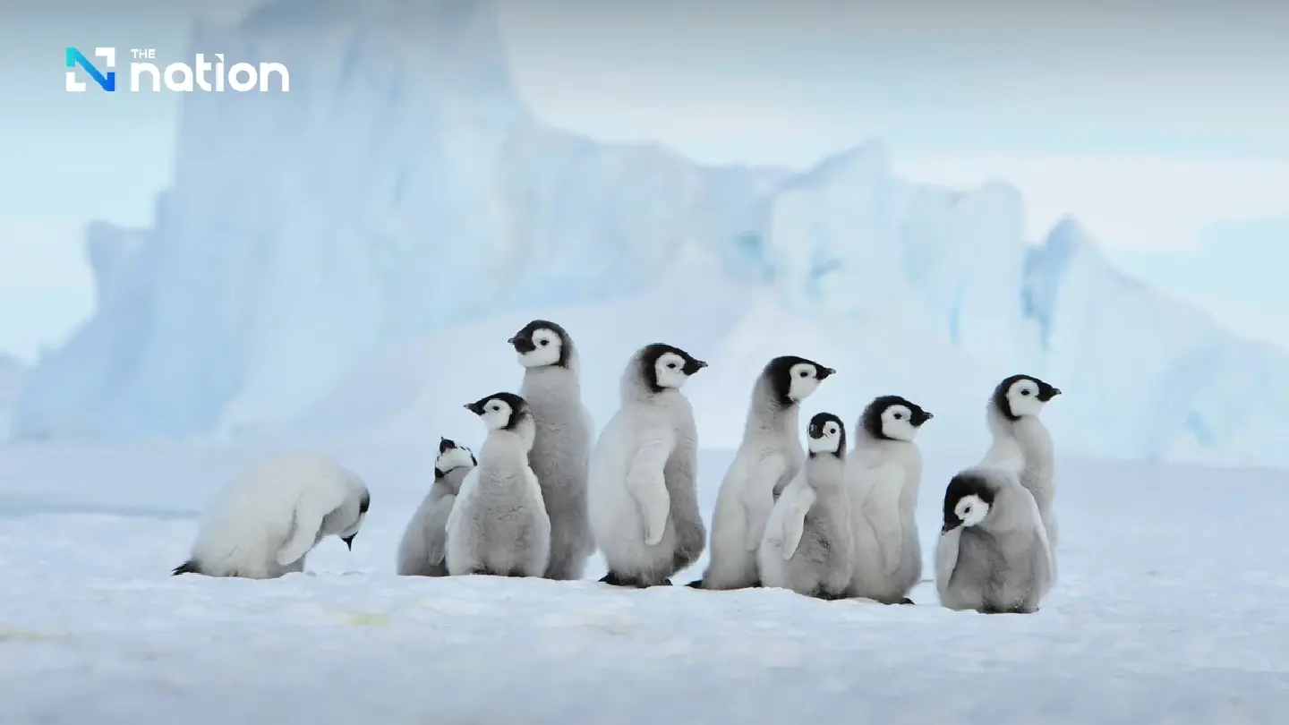 Trump’s tariff math hits poor nations—and even penguin islands Trump’s tariff math hits poor nations—and even penguin islands