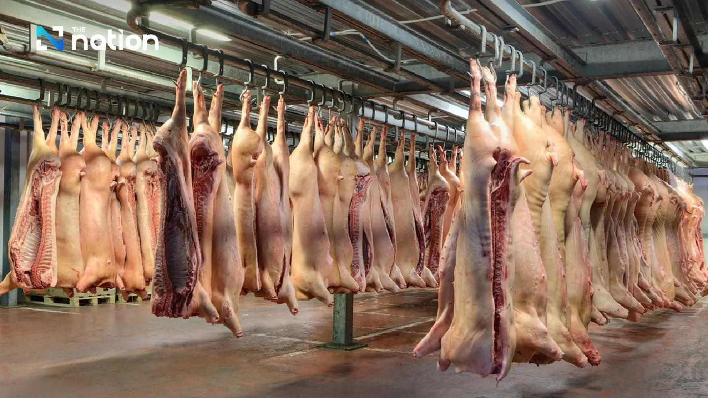 Thai swine raisers strongly oppose US pork imports