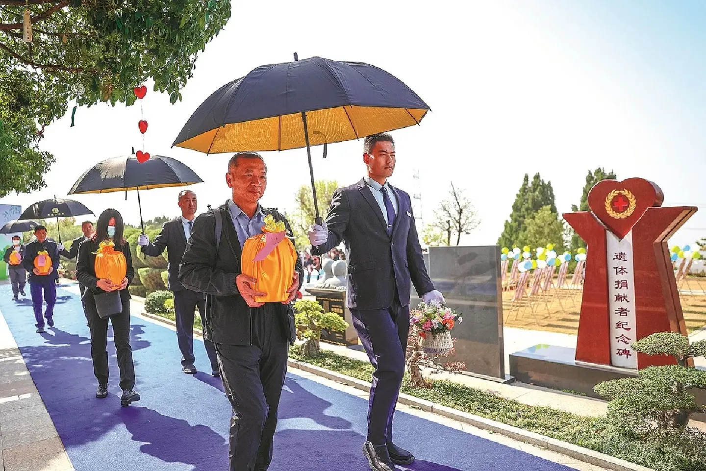 Eco-burials take root in funeral industry Eco-burials take root in funeral industry