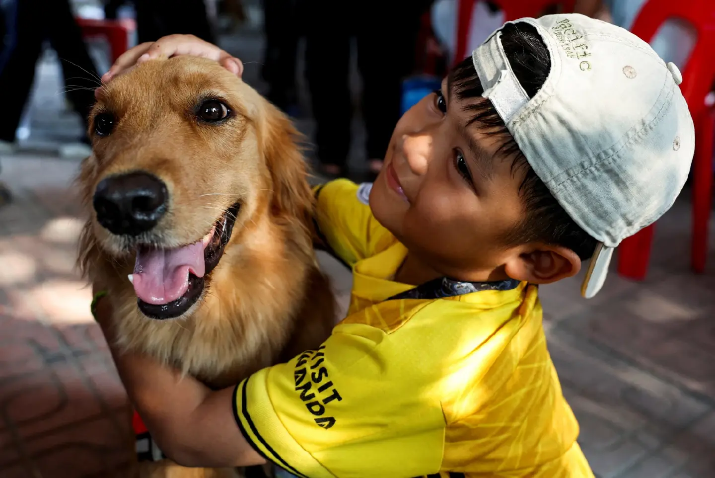 Thai rescue dogs provide emotional support as search goes on at collapsed tower Thai rescue dogs provide emotional support as search goes on at collapsed tower