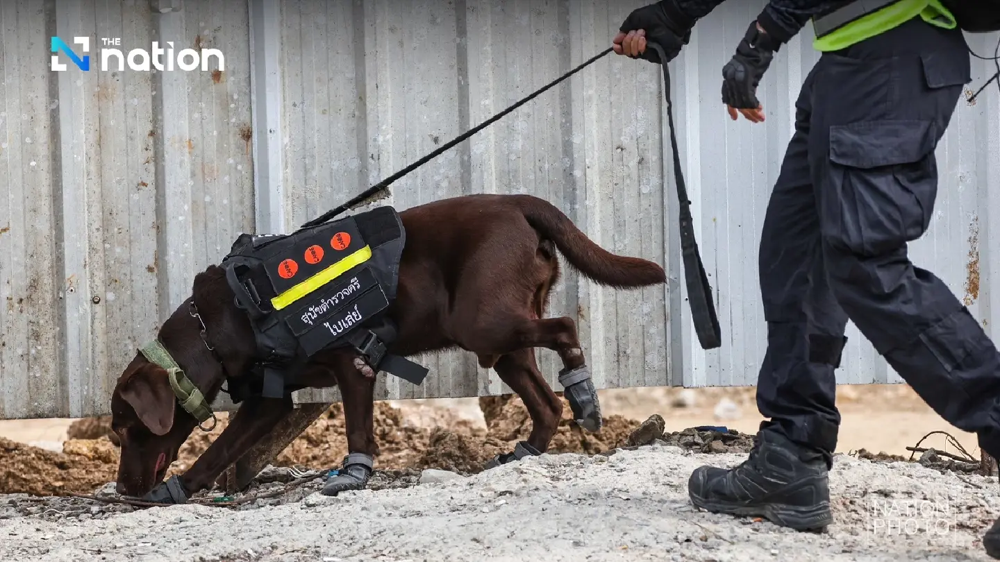 K9 team concludes search operation at collapsed building site K9 team concludes search operation at collapsed building site