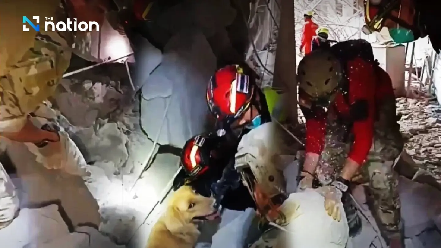 Rescuers in Bangkok Dig by Hand, Use K9s to Find Survivors in Collapsed Building