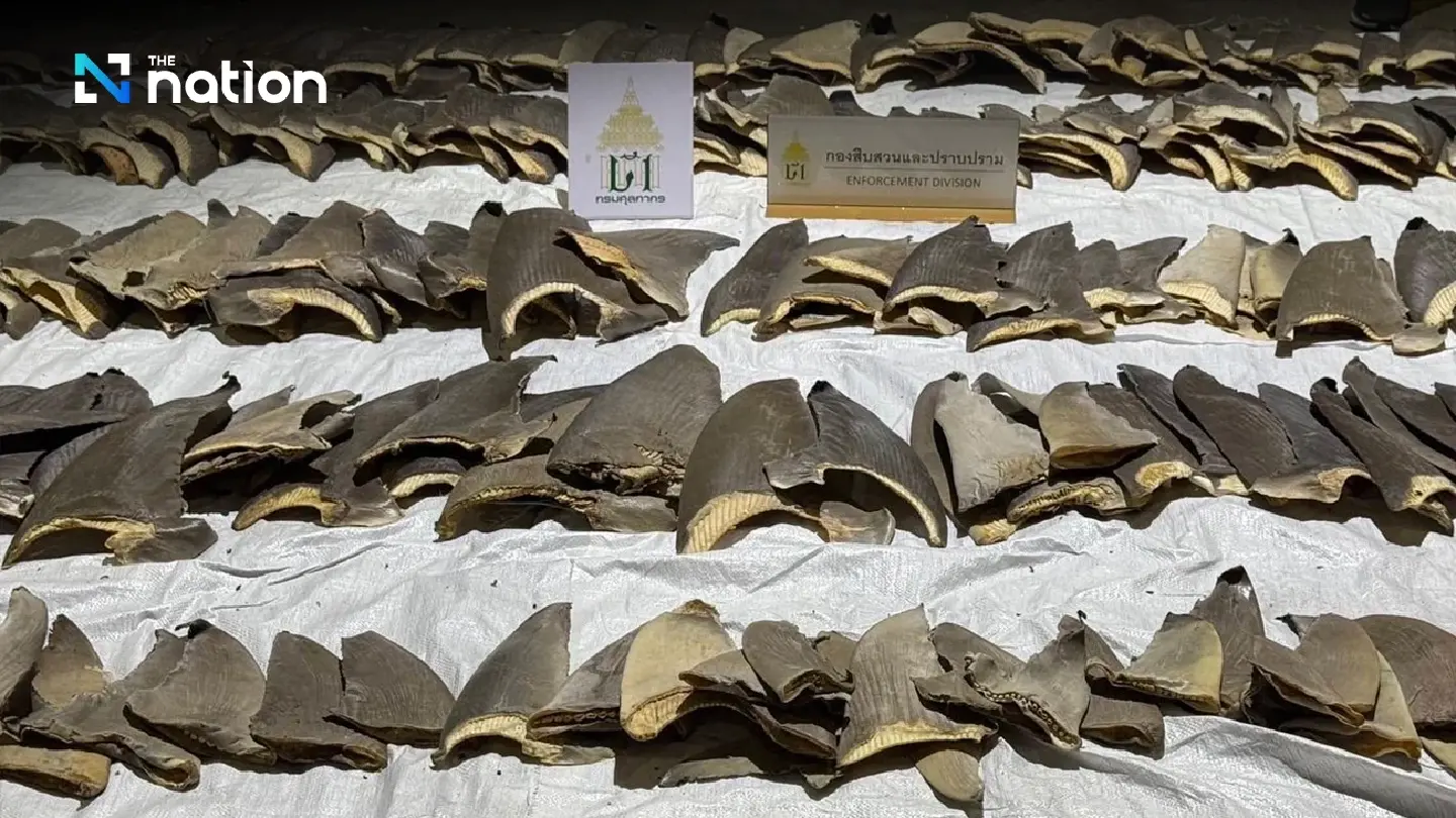Thai Customs seizes over 400 shark fins smuggled through Suvarnabhumi Airport