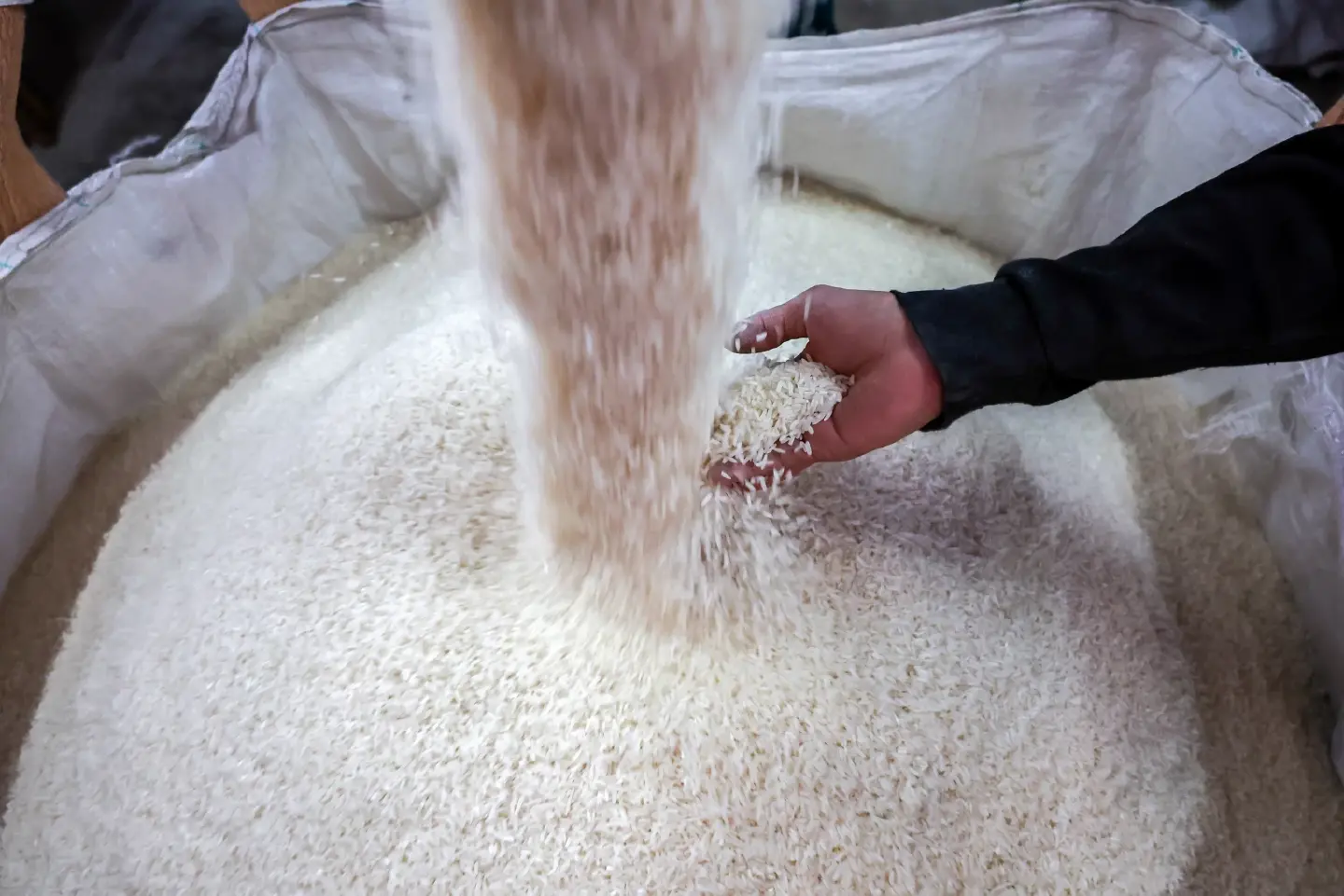 Japan retail rice prices fall for 1st time in 18 weeks