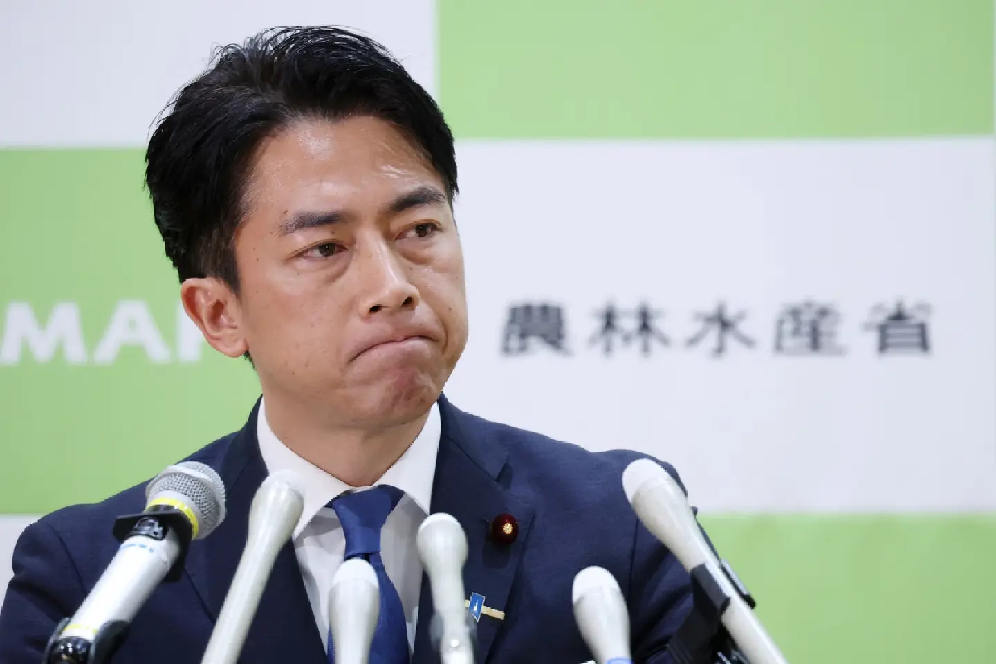 Koizumi vows to stabilize rice prices Koizumi vows to stabilize rice prices