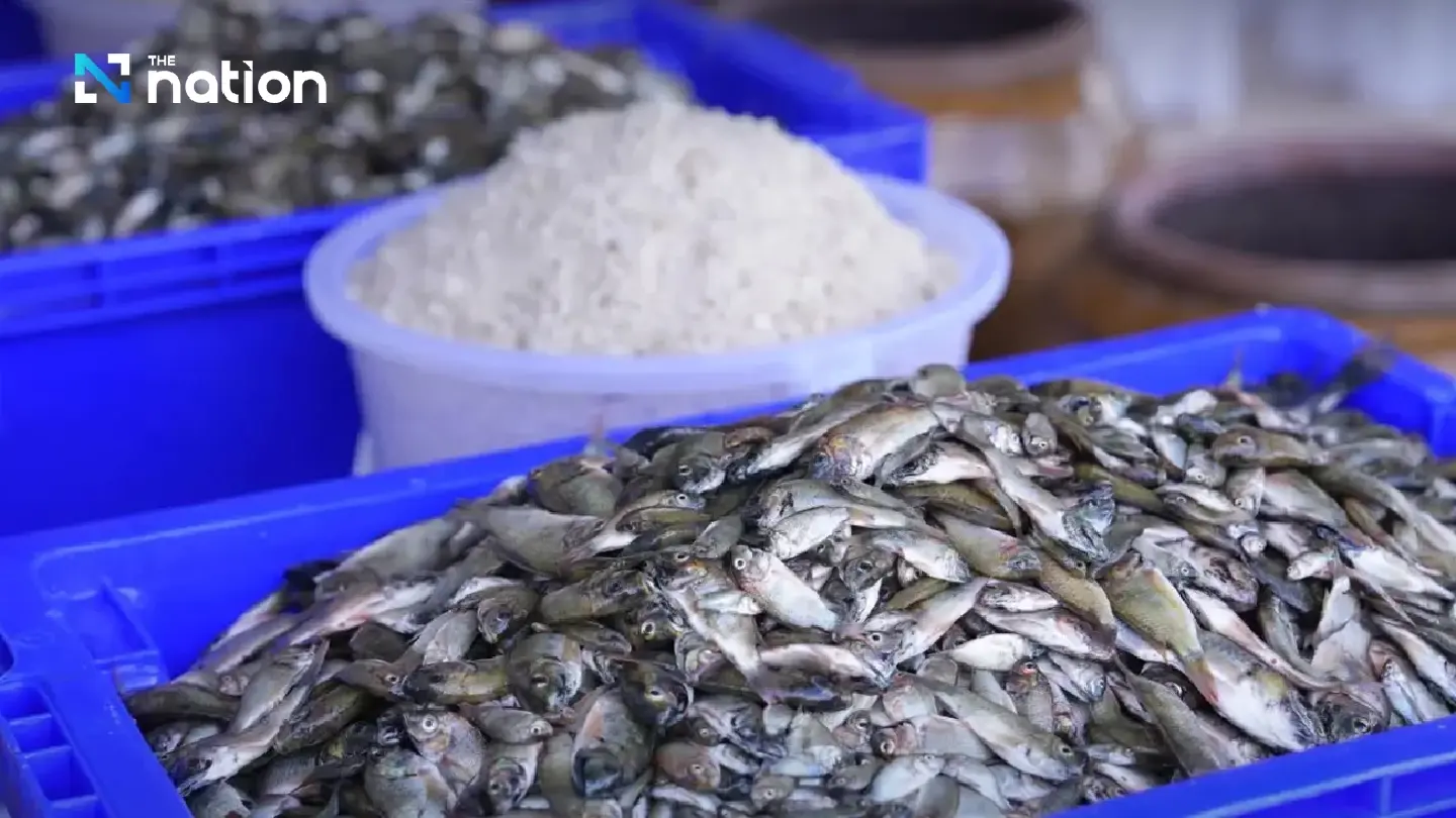 Fish sauce from blackchin tilapia: A sustainable solution to alien species