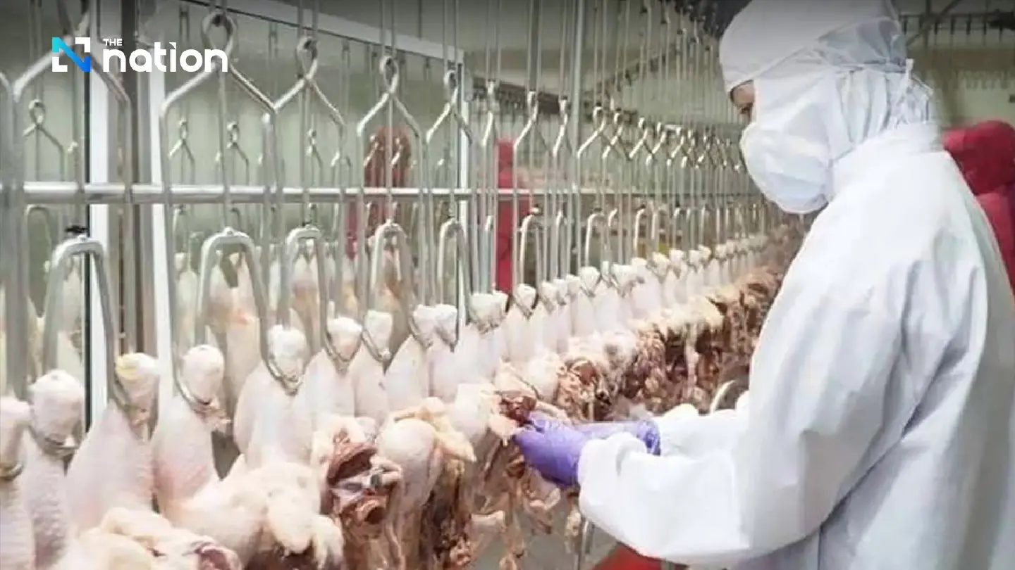 Thailand Scores Poultry Export Victory, Cracking Open Philippines Market for Raw Chicken and Duck
