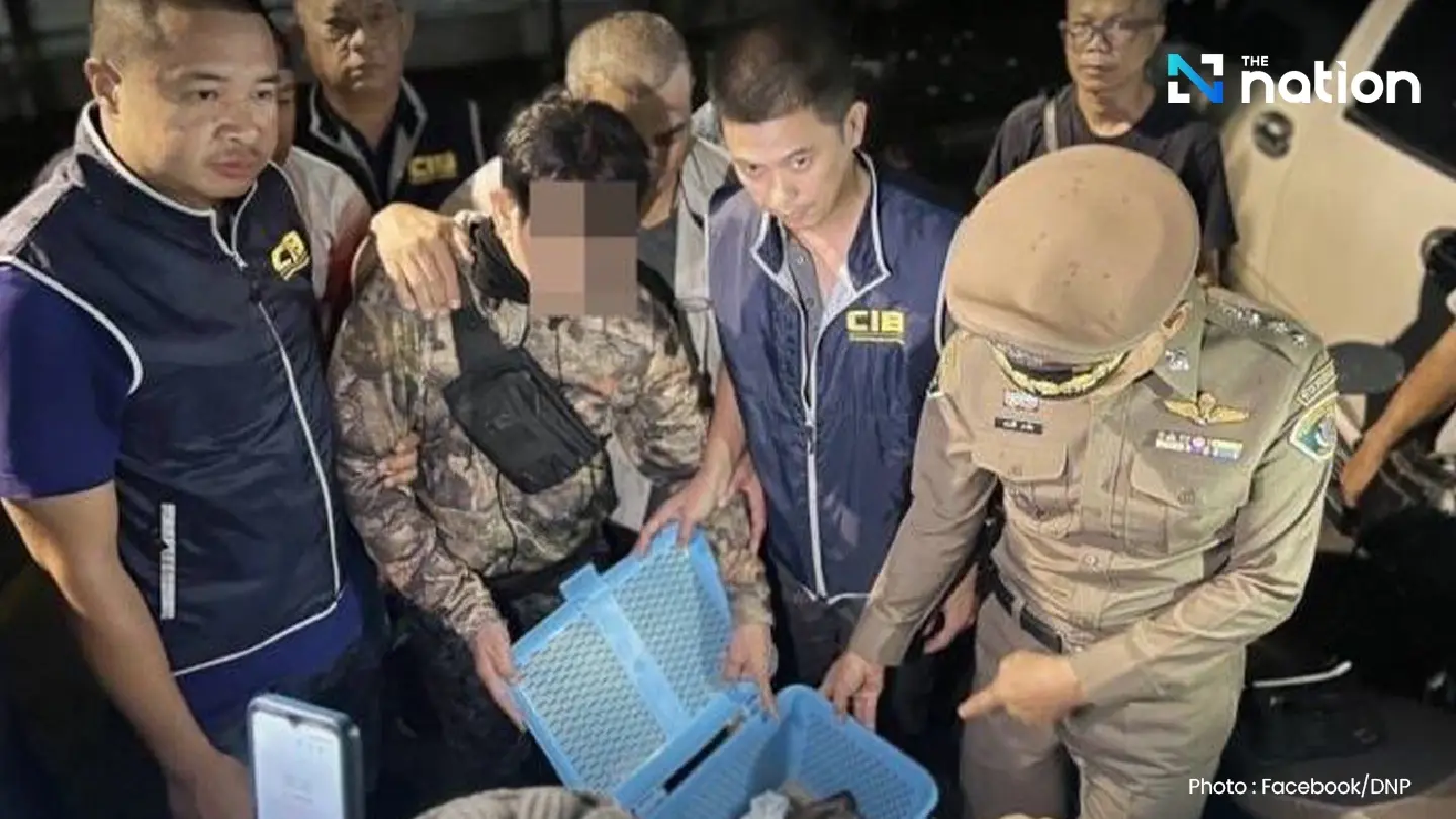 Two baby orangutans rescued in Bangkok, courier arrested