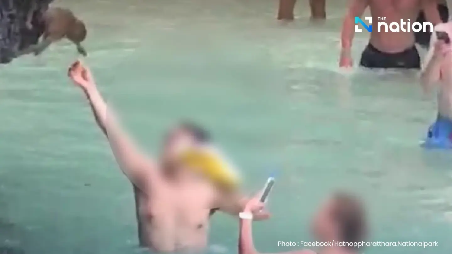 Krabi marine park to fine foreign tourist for violating monkey-feeding ban