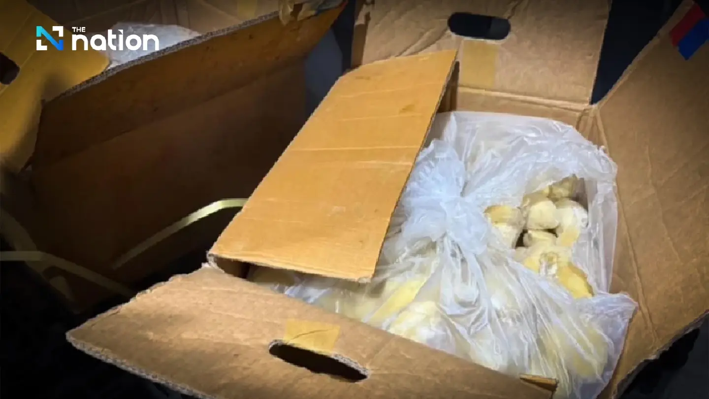 Thai Durian Export Industry Rocked by Allegations of Illicit Mixing