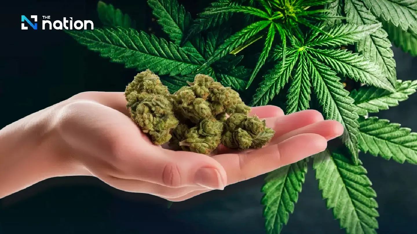 DTAM approves limits on cannabis flower sales to prescriptions DTAM approves limits on cannabis flower sales to prescriptions