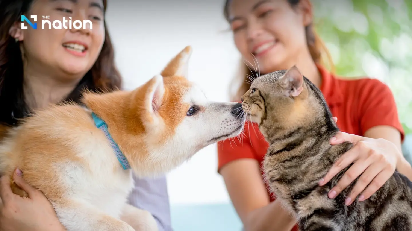 Dogs and cats dominate Thailand’s pet scene of over 5.3 million pets nationwide