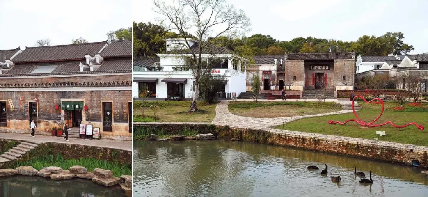 Chinese village restores agricultural soil with organic content Chinese village restores agricultural soil with organic content