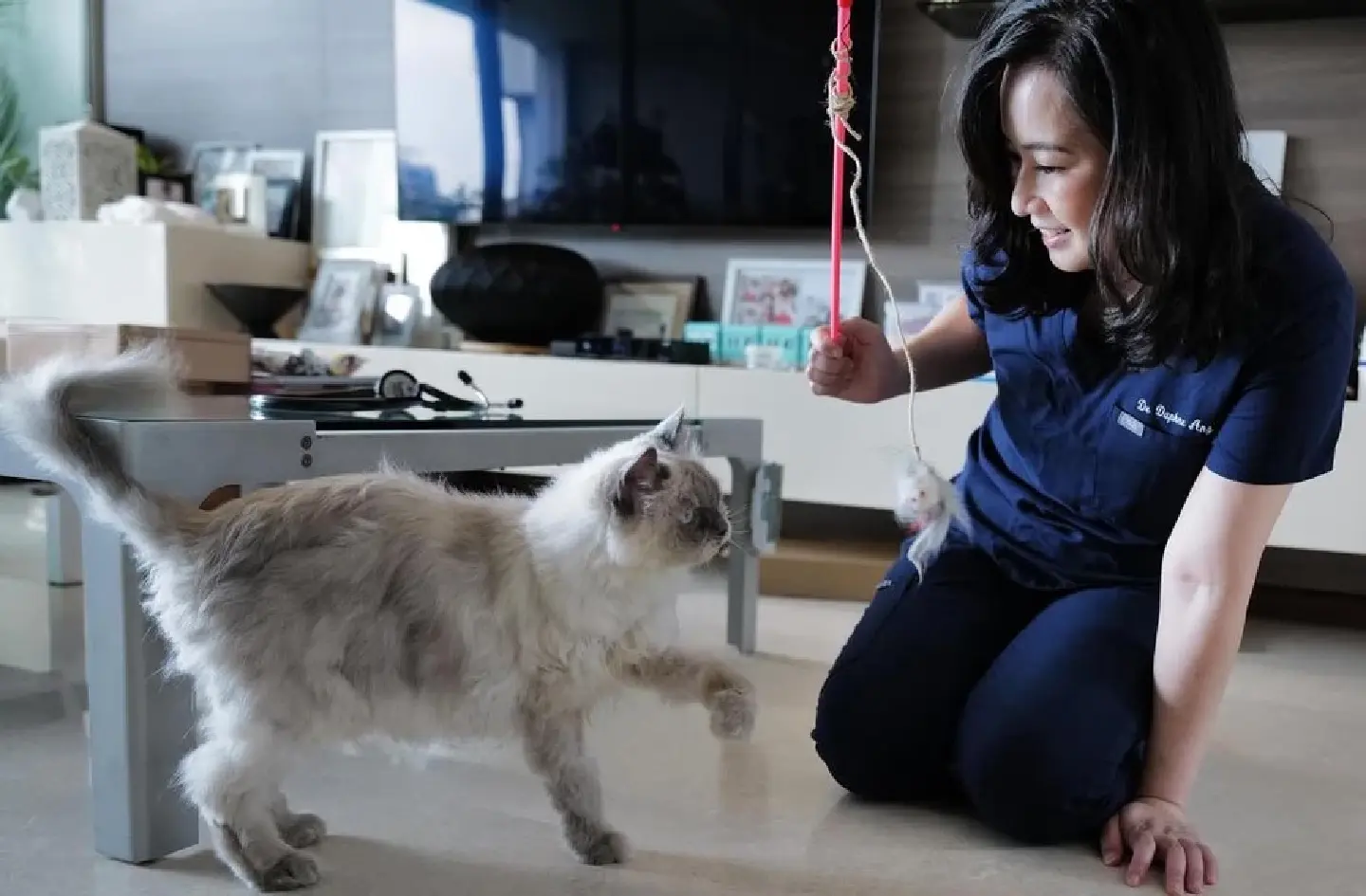 Pets suffer from mental health issues too Pets suffer from mental health issues too