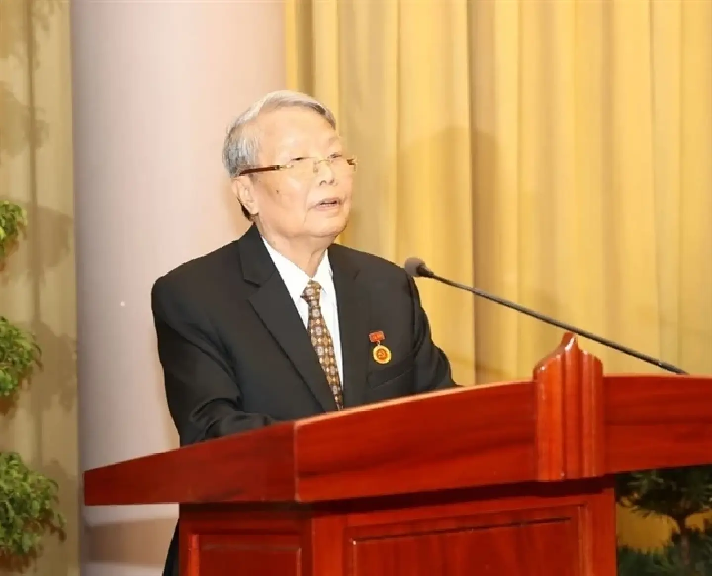 Former President Tran Duc Luong passes away