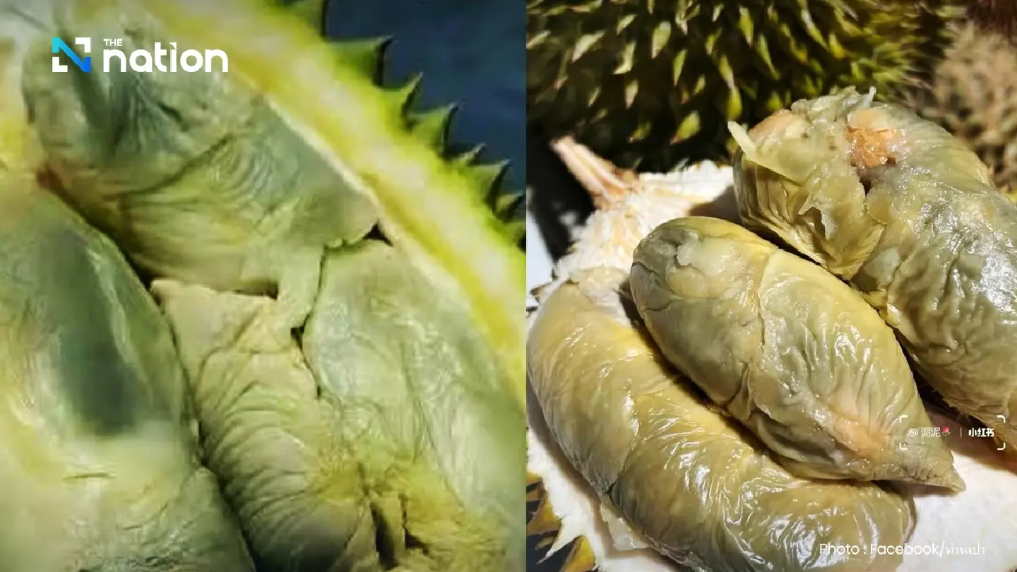 "Tupai King" Durian Set to Challenge Musang King's Crown with Unique Sweetness