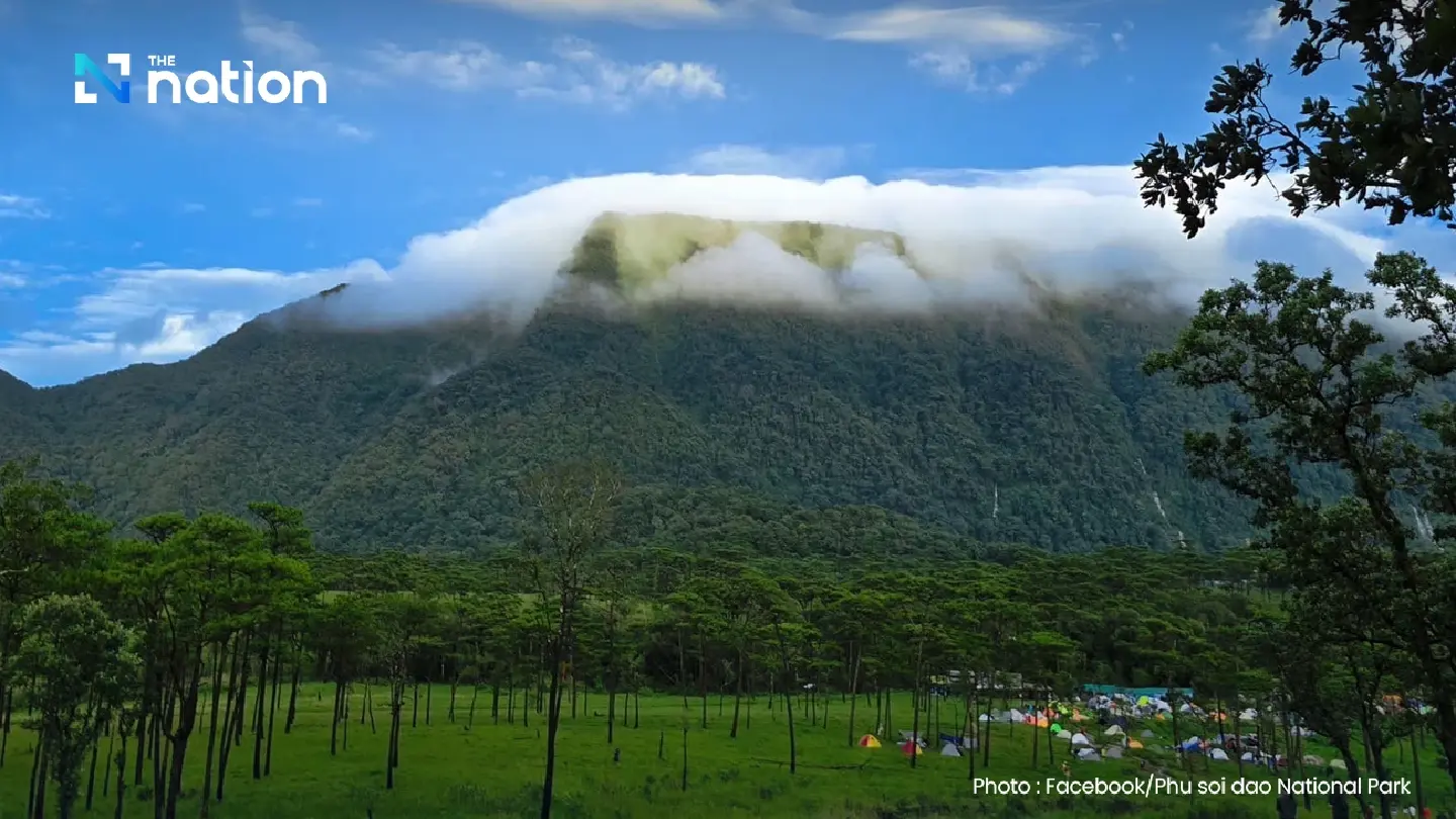 Phu Soi Dao’s pine forest ground to reopen to tourists in July