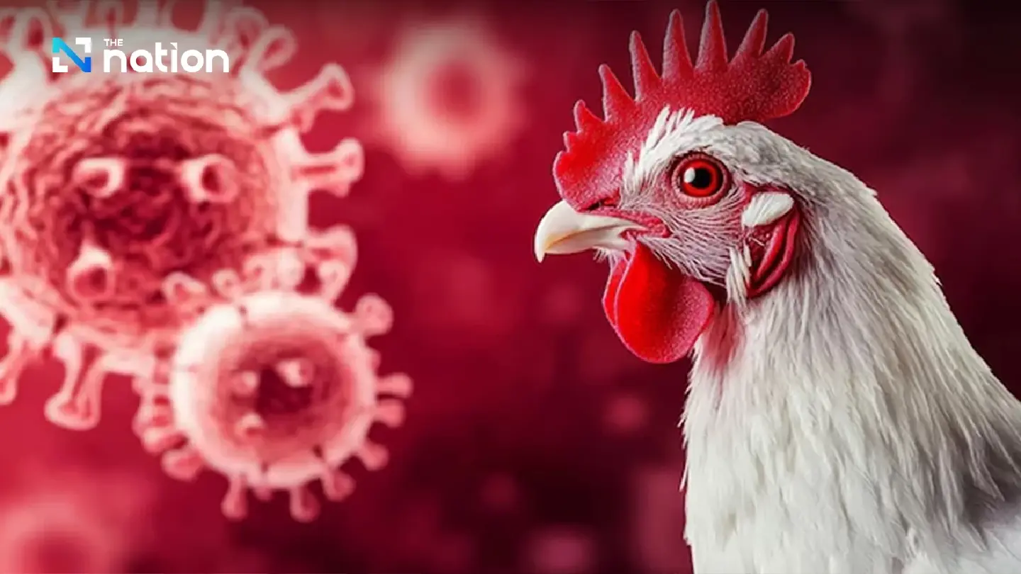 Philippines confirms first case of H5N9 bird flu