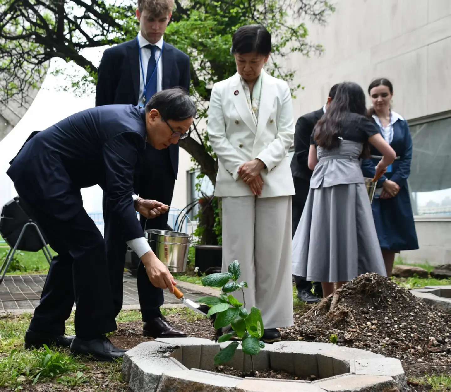 Saplings from A-bombed tree planted at UN Headquarters