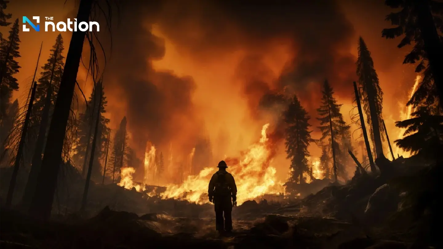 Global forest crisis: Earth losing forest area equivalent to 18 football fields per minute Global forest crisis: Earth losing forest area equivalent to 18 football fields per minute