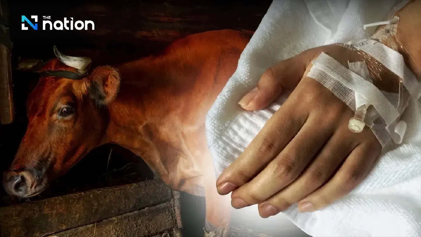 Thailand confirms one anthrax death from beef consumption, 247 under medical watch Thailand confirms one anthrax death from beef consumption, 247 under medical watch