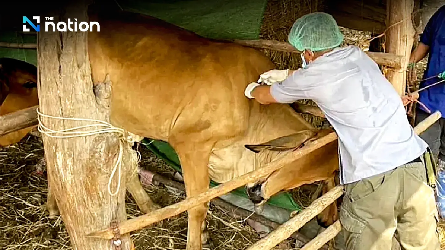 Anthrax cannot be transmitted between humans, confirms DDC