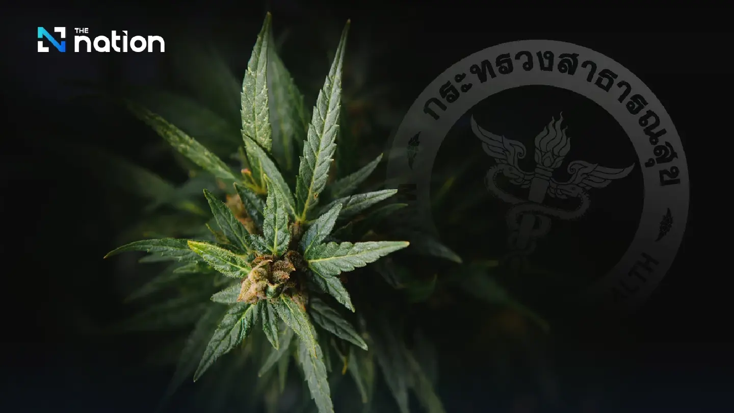 Health Ministry to draft rules for cannabis flower bud sales