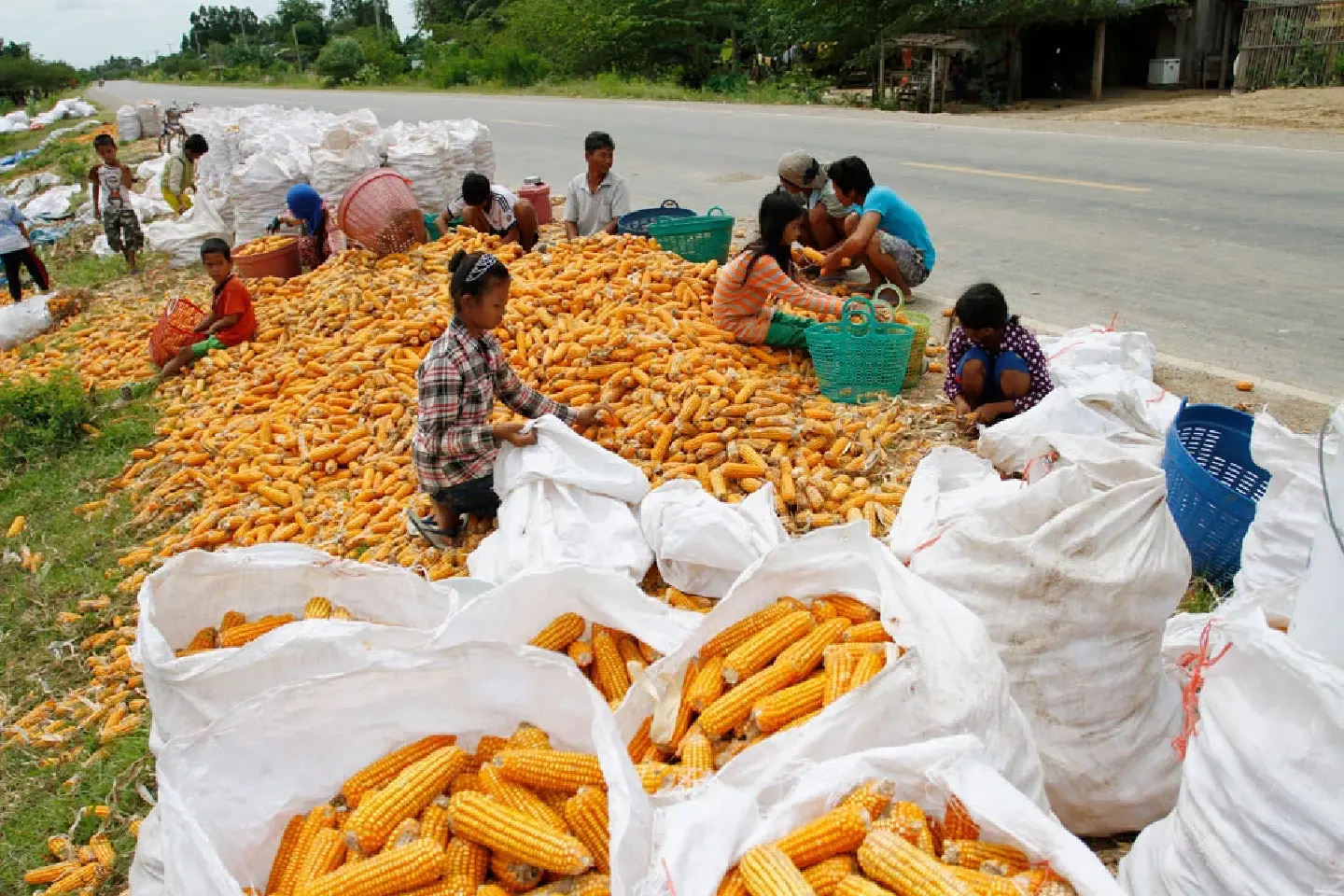 Pundits confident Cambodian-Thai trade relations will continue as normal