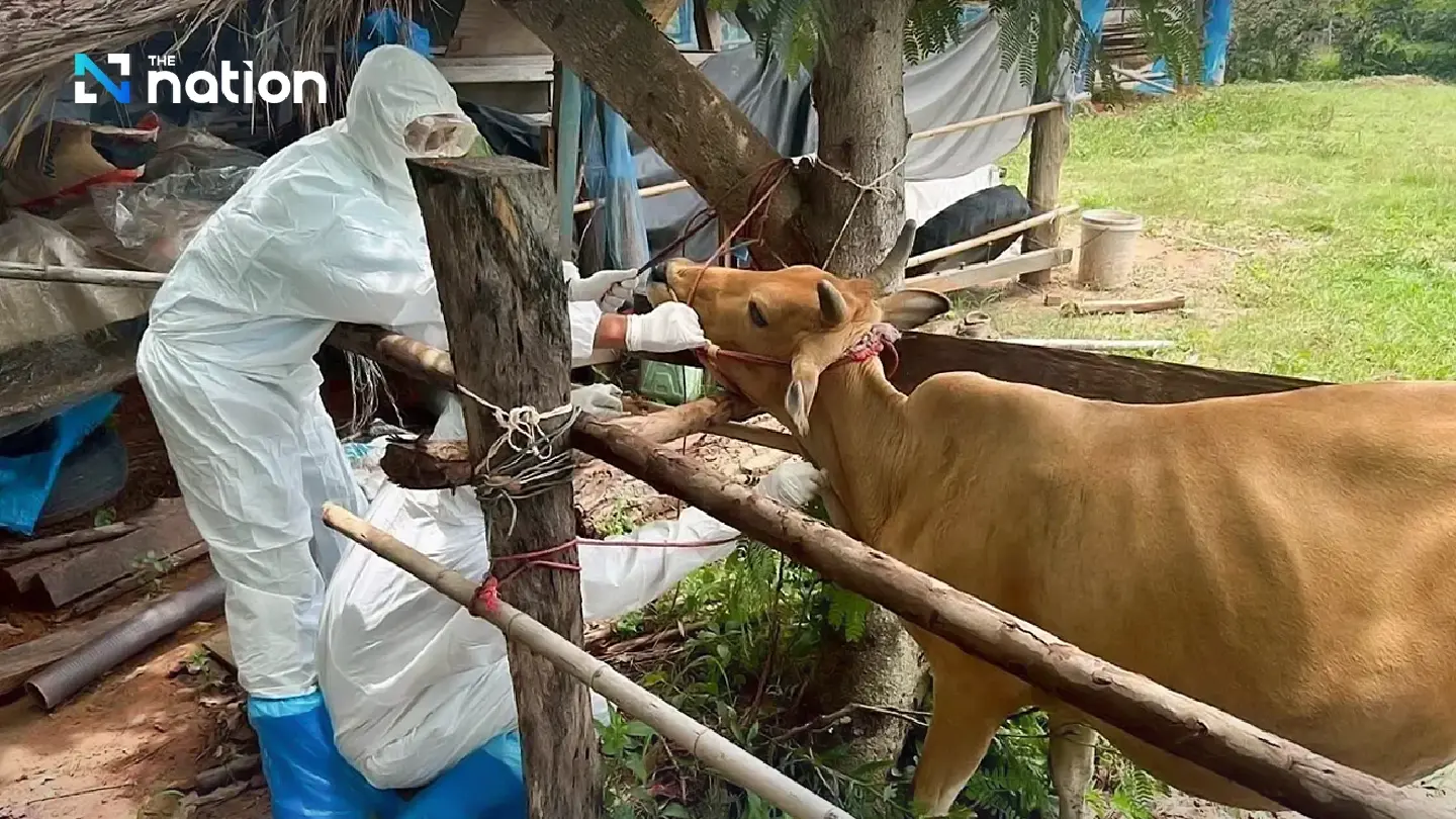 Laos eases restrictions on livestock imports from Thailand after anthrax situation stabilizes