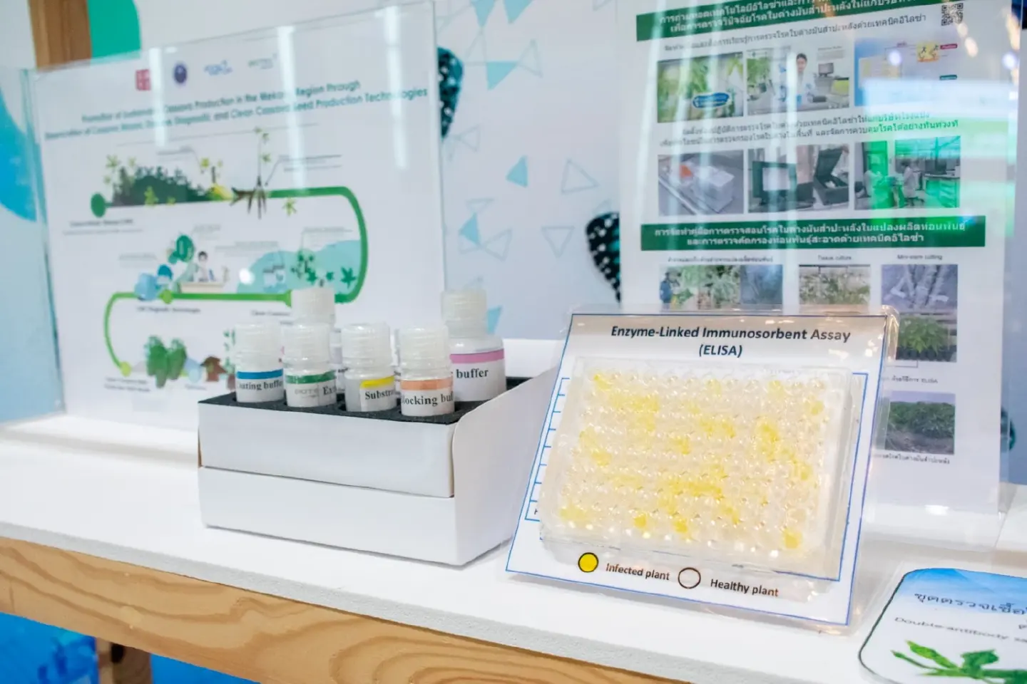 KMUTT–NSTDA drive global unity for sustainable cassava industry KMUTT–NSTDA drive global unity for sustainable cassava industry