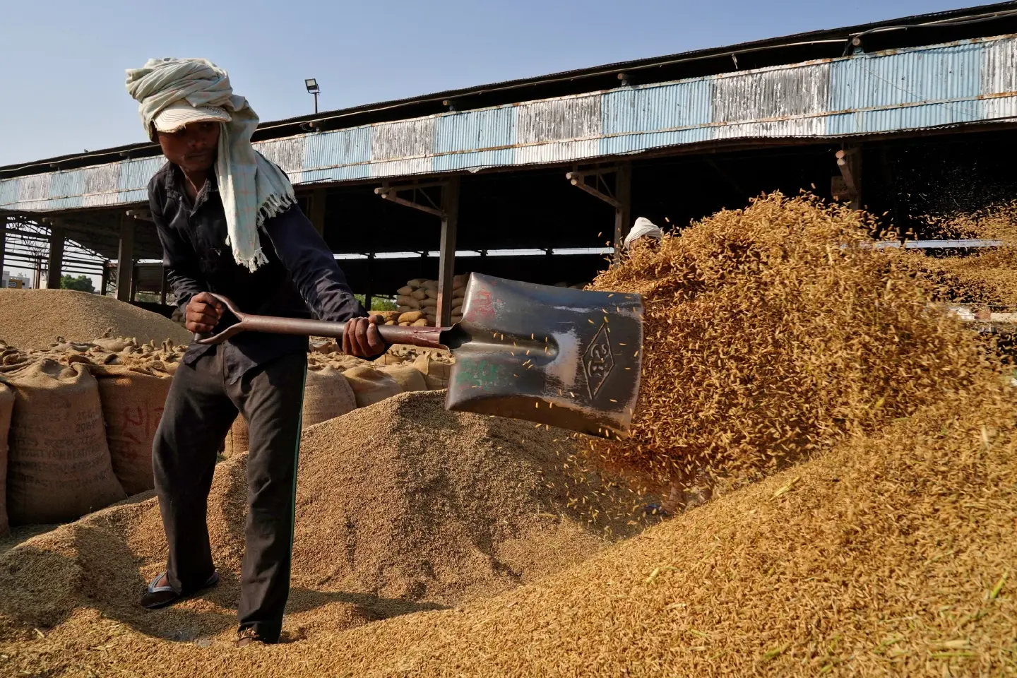 India’s extreme poverty rate declines from 27.1% in 2011-12 to 5.3% in 2022-23: World Bank India’s extreme poverty rate declines from 27.1% in 2011-12 to 5.3% in 2022-23: World Bank