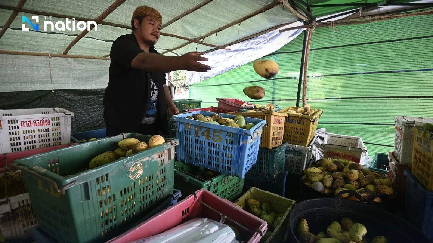 SOC-TCBSM unveils 5 strategies to aid farmers hit by Cambodia's import ban SOC-TCBSM unveils 5 strategies to aid farmers hit by Cambodia's import ban