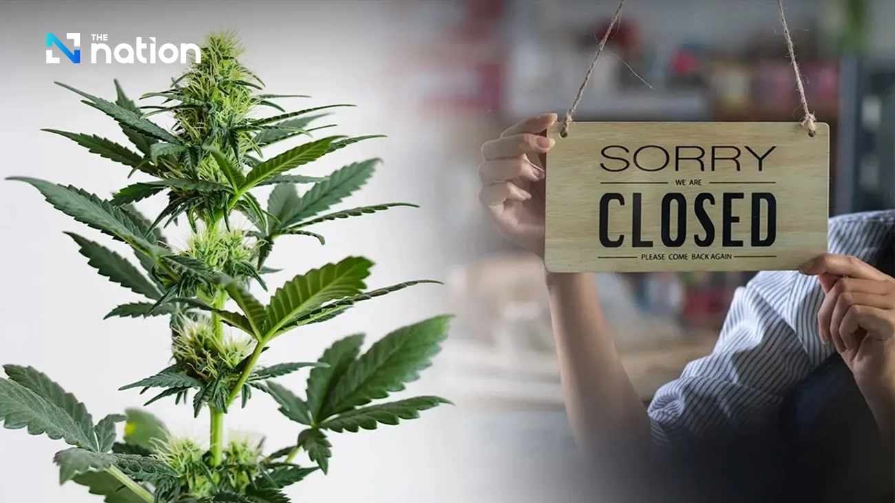 Thousands of Thai Cannabis Shops Face Closure Under New Regulations